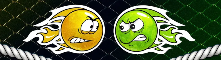 Liga MMA Internasional